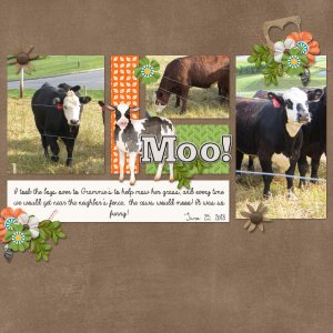 Moo!