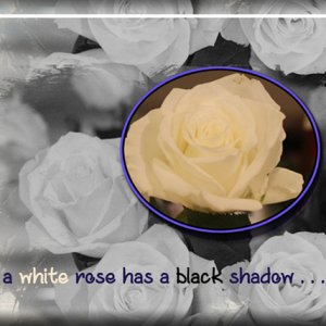 ATC 2019-002 A White Rose