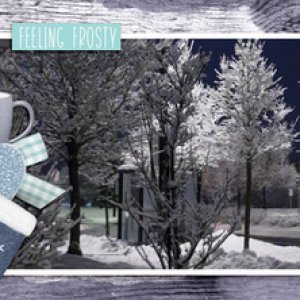 dt_tasteofwintercover_kelly