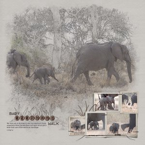 Baby Elephant Walk