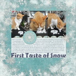 First Taste of Snow