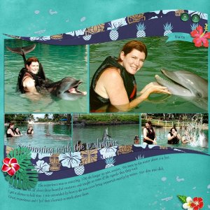 Hawaii 2009 - Swimming with Dolphins