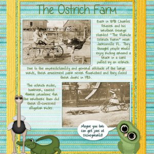 The Ostrich Farm