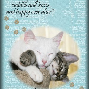 ATC 2019-005 National Cuddle Up Day