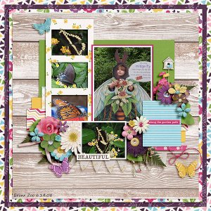 lilybutterfly