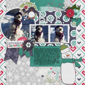 cap_winterwishes