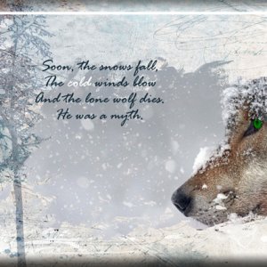 ATC 2019-006 Soon, the Snows Fall
