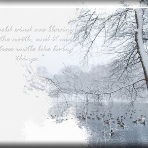 ATC 2019-007 A Cold Wind