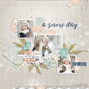 a snow day