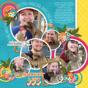 December-18-Sloths-in-HondurasWEB