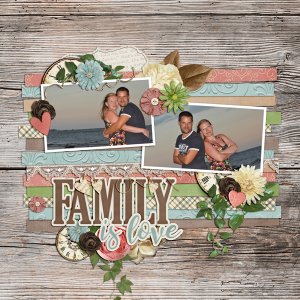 family is love