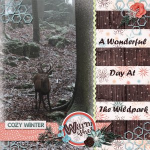 a wonderful day at the wildpark