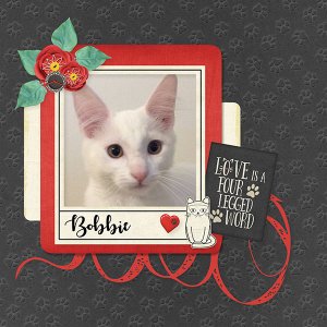 Bobbie