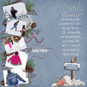 Winter Memories