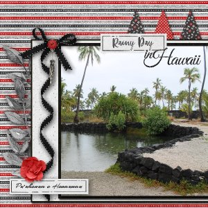 Rainy Day in Hawaii