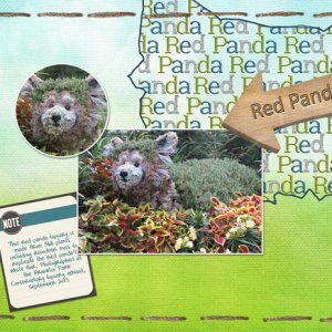 Red Panda