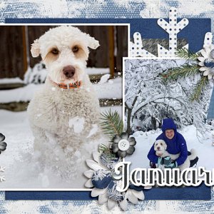 Snow Dog