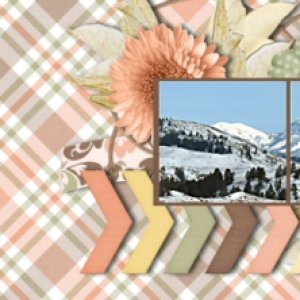January FB