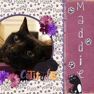 maddie-jan-2019
