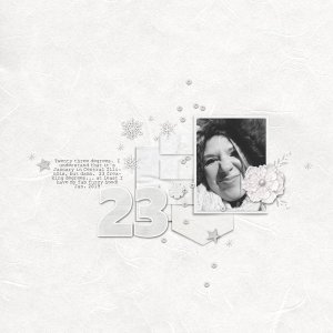 23 Degrees | January 2019