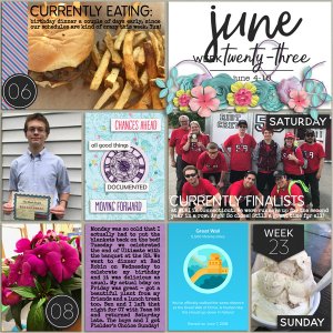 P52 Week 23 2018