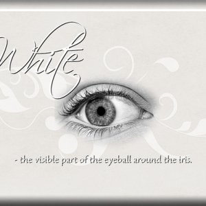 ATC 2019-008 White