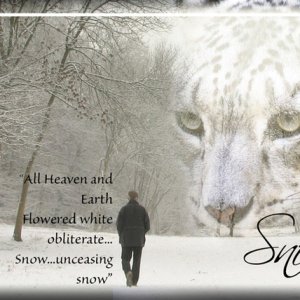 Snow