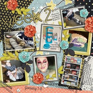 2019 P52 Week Two