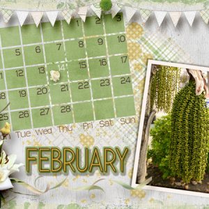 Desktop 2019 Jan Chal