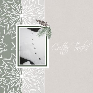 Critter Tracks