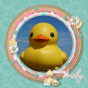 Feeling Ducky