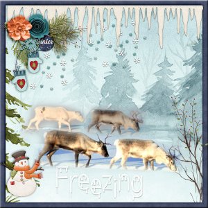 Freezing2