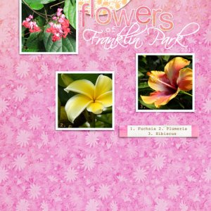 Flowers of Franklin Park