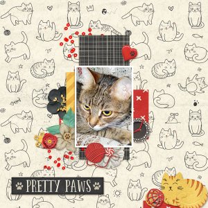 Pretty-Paws
