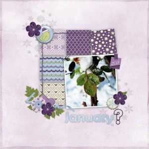 Speed_scrap_Jan_2019