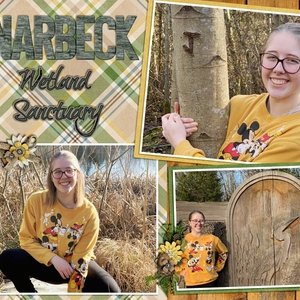 Narbeck Wetland Sanctuary