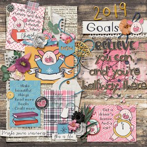 2019 goals