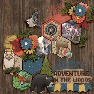Adventure-in-the-woods