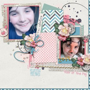 Year Of The Pig