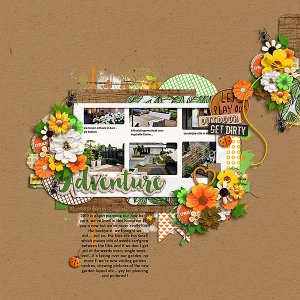 planning a new garden