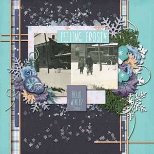 Daily Download Challange January- I used the kit and a template from Ping M