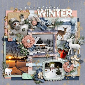 Beautiful Winter