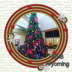Wyoming Christmas