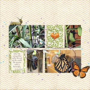 Monarch