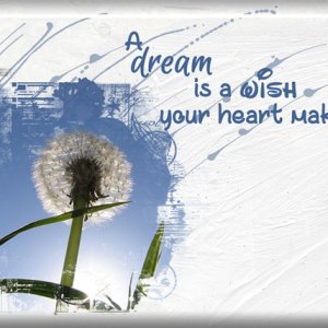 ATC 2019-011 Dream