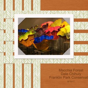 Macchia Forest