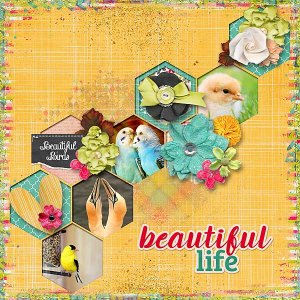 Beautiful Life