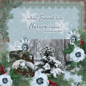 When Snow falls Nature listens!