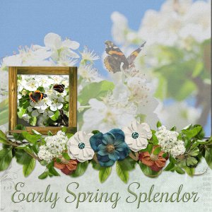 Early Spring Splendor