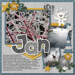 January 2019 Polar Freeze